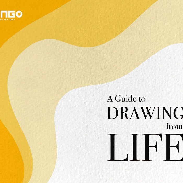 A Guide to Drawing from Life