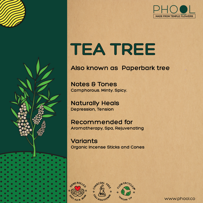 PHOOL - Natural Incense Cones - Tea Tree (40U)