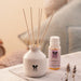 IRIS-lavender-reed-diffuser-set-front-cover-view