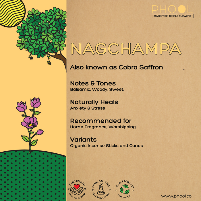 PHOOL - Natural Incense Cones - Nagchampa (40U)