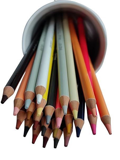 Brustro Artists' Colored Pencils Skin Tone Set of 24 (in elegant tin box)