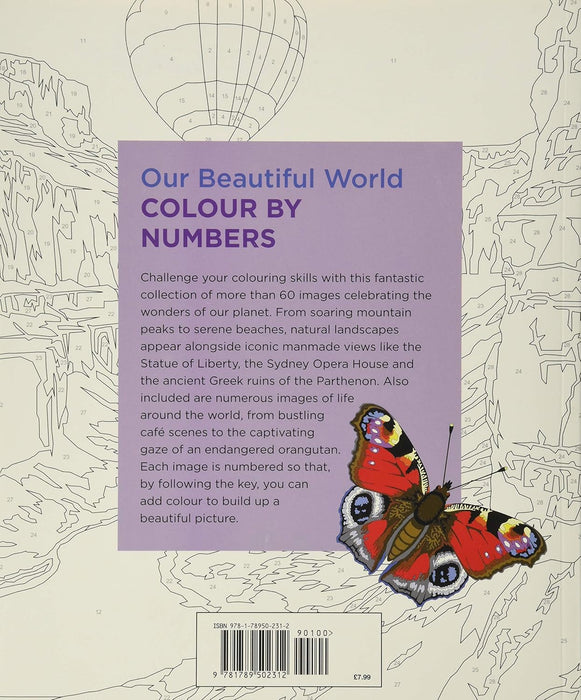 Our Beautiful World Colour by Numbers By David Woodroffe (Paperback)