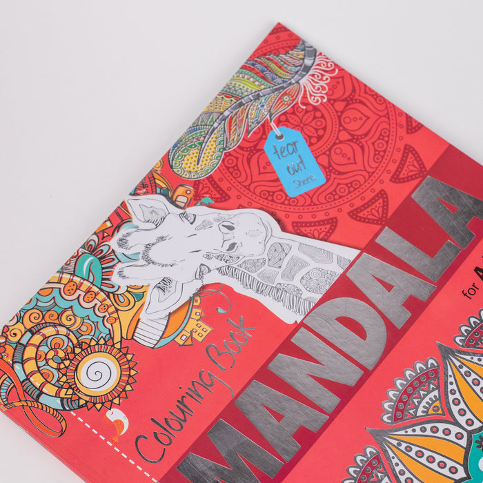 Mandala Colouring Book for Adults 1 (Paperback, infinity publishing)