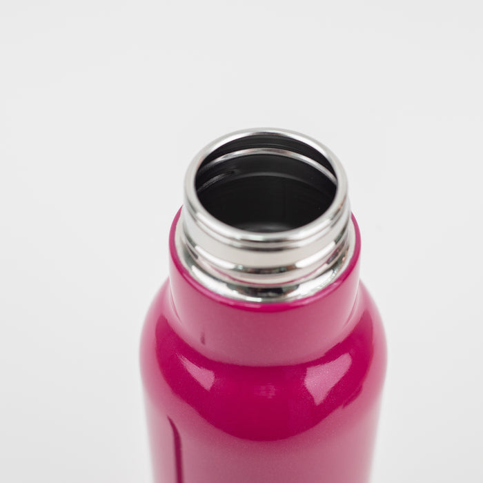 Dubblin - Jewel Single Wall Stainless Steel Water bottle 700 ml - Pink
