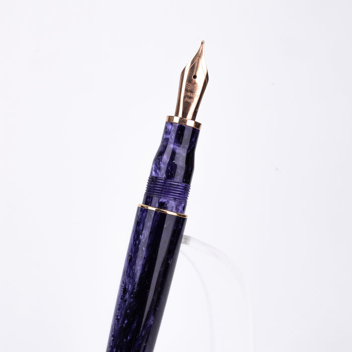 Leonardo Furore Grande Purple RGT Fountain Pen