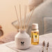 IRIS-apple-cinnamon-reed-diffuser-set-front-cover-view