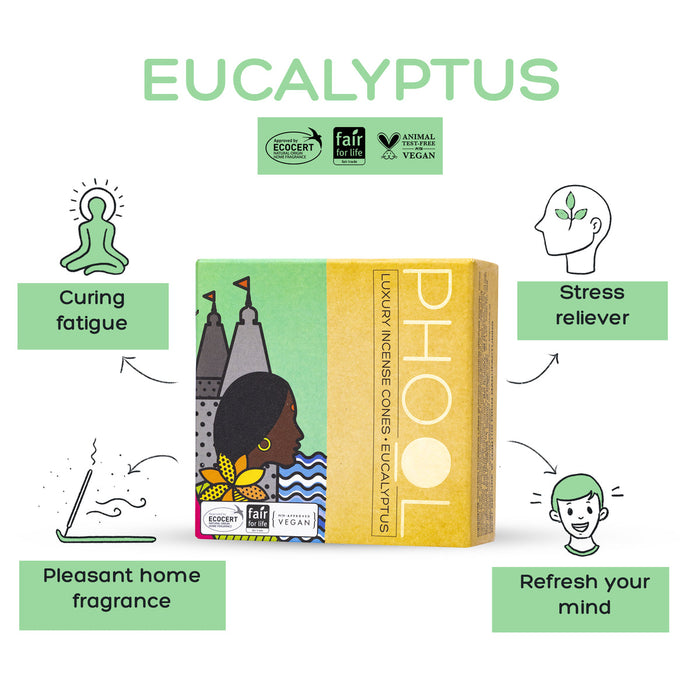 PHOOL - Natural Incense Cones - Eucalyptus (40U)