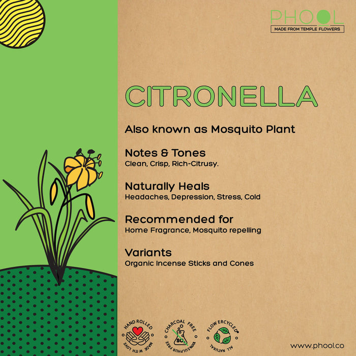 PHOOL - Natural Incense Sticks - Citronella