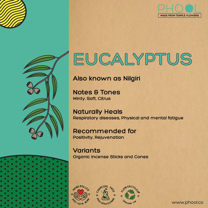 PHOOL - Natural Incense Sticks - Eucalyptus