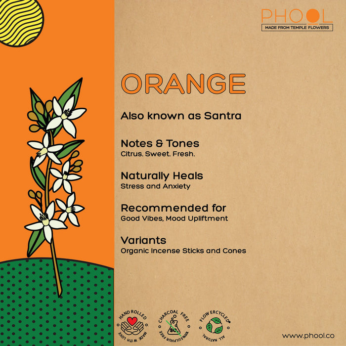 PHOOL - Natural Incense Cones - Orange (40U)